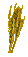 Barley